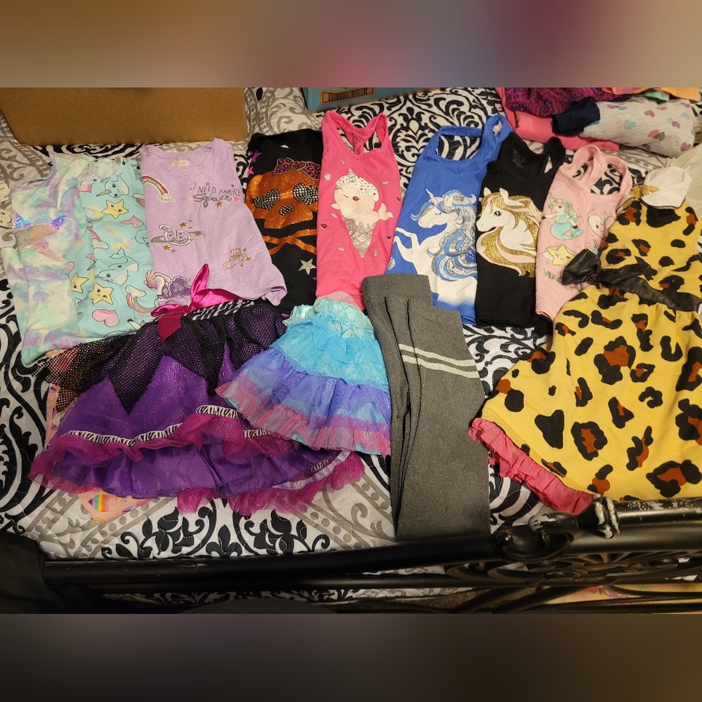 3 dresses, 4 tanks, 2 shirts, 2 tutus and tights.